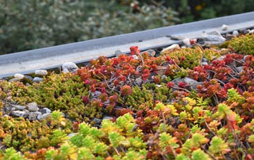 the cost of West Molesey green roof installation