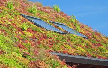 West Molesey living roof systems